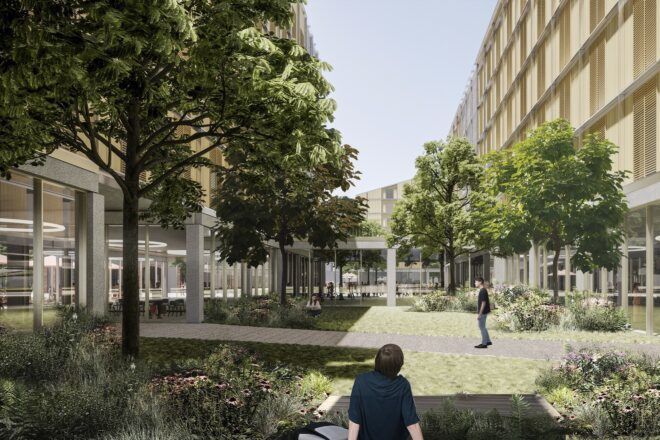 A green courtyard with trees and grass. People loiter in the area.