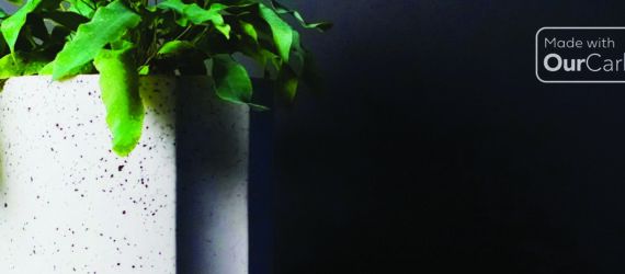 To the left, a green plant inside a black and white speckled pot. To the right, text reading 