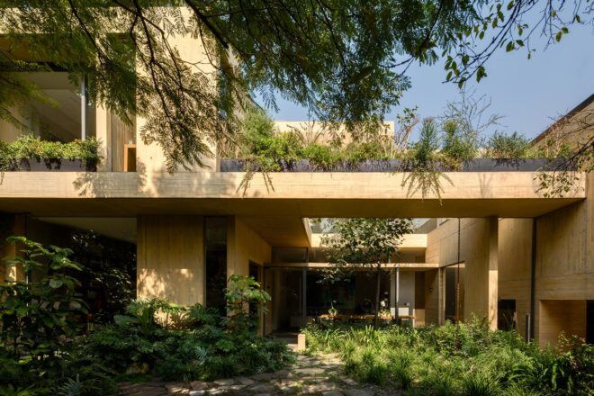 tan home covered in plants