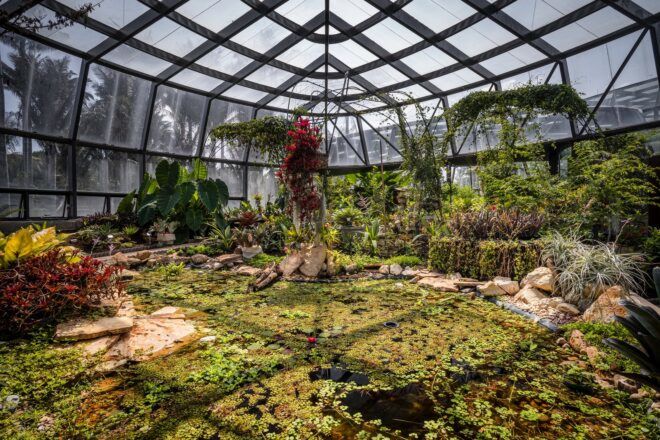 An indoor greenhouse-type building with glass walls and ceiling. The building is full of greenery.