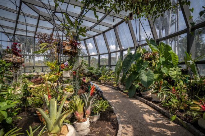 An indoor greenhouse-type building with glass walls and ceiling. The building is full of greenery. To the right, a walking trail cuts through the garden.