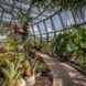 An indoor greenhouse-type building with glass walls and ceiling. The building is full of greenery. To the right, a walking trail cuts through the garden.