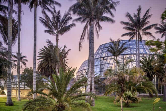 A landscape full of palm trees that partially obscure a glass greenhouse structure.