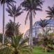 A landscape full of palm trees that partially obscure a glass greenhouse structure.