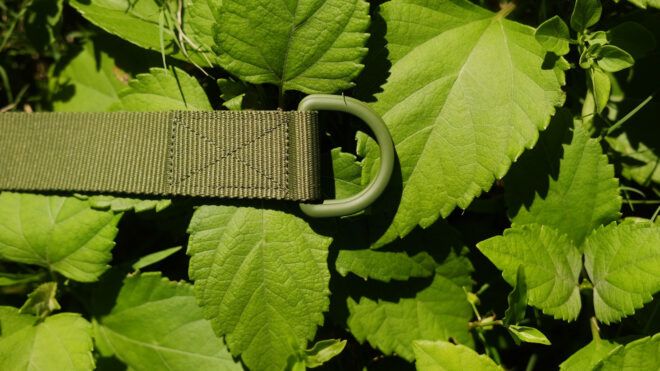 green utility belt on pile of green leaves