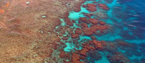 An overhead view of the Great Barrier Reef.