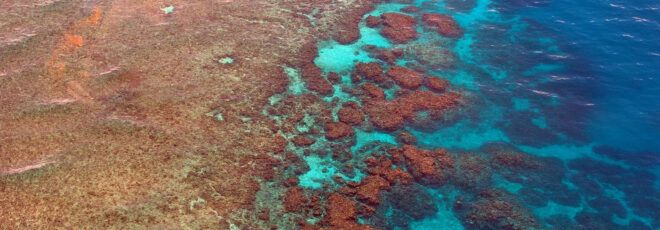 An overhead view of the Great Barrier Reef.