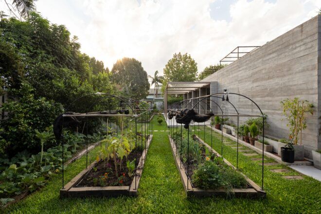 An organic garden with two plots of plants.