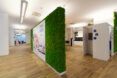 office with central wall covered in moss