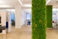 close-up of lichen-covered pillar inside an office