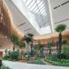 A plant-filled lobby with natural wood accents around the ceiling.