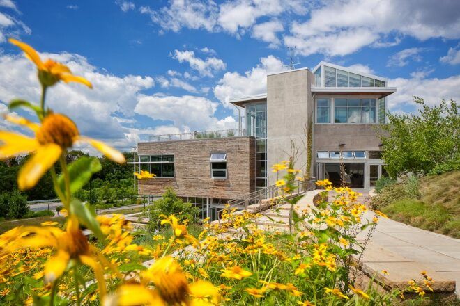 yellow flowers in front of huge tan conservatory building