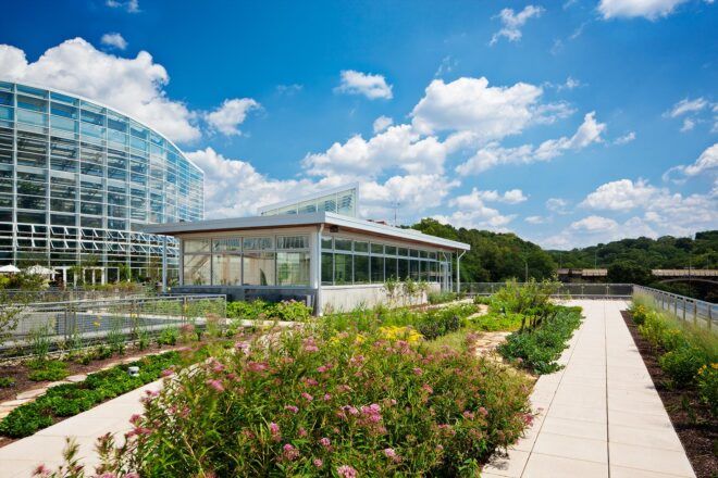 native plants in front of glass greenhouse building