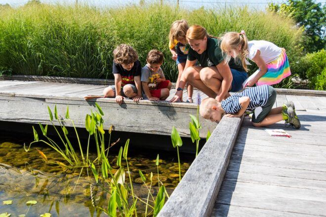 teacher and students looking into a lagoon