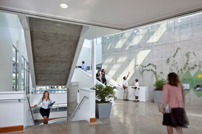 white lobby area with plants on walls