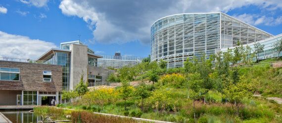 green and yellow plants in front of rounded glass building