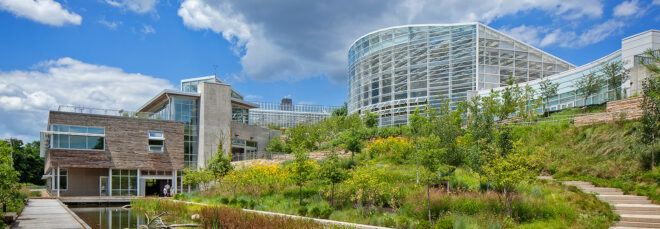 green and yellow plants in front of rounded glass building