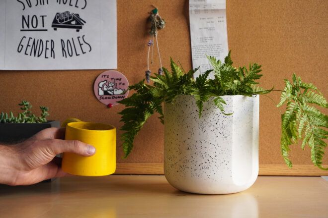 A plant inside a black and white speckled pot. To the left, a hand is holding a small yellow mug.