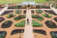 An overhead view of people tending to the World Food Garden at RHS Hilltop.
