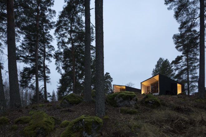 black cabins in forest