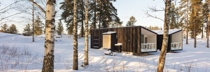 black cabin in snowy forest