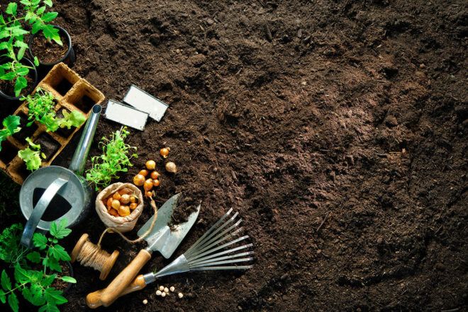 garden tools on soil