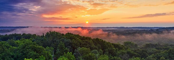 A landscape of the Amazon rainforest at sunset.