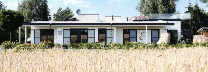 A field of wheat in front of a one-level home with a white and black facade featuring large windows.