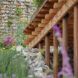 An image looking uphill through the garden, with a purple flower blurred in the foreground.