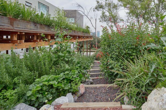 A natural walkway through a garden.