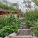 A natural walkway through a garden.