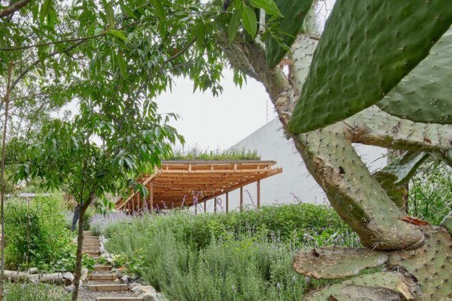 An image looking uphill through the garden, partially obscured by trees.