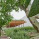 An image looking uphill through the garden, partially obscured by trees.