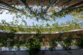 A view looking up at the green terraces with hanging plants.
