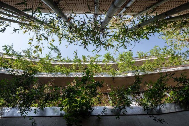 A view looking up at the green terraces with hanging plants.