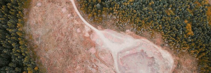 A large empty area in the middle of a forest.