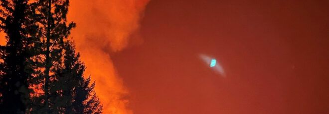 Dark trees frame an orange sky full of smoke.
