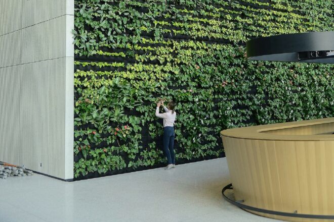A person standing at the green wall with the desk to the right.