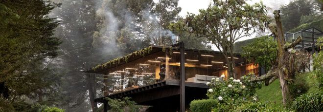 A home surrounded by plants looks out off a hill.