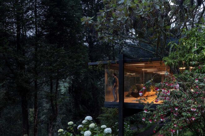 On the right, a home with floor-to-ceiling windows looks out on a forest.