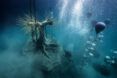 A tree sculpture being lowered underwater.