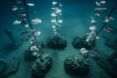 Five plant sculptures arranged underwater.