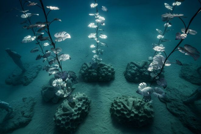 Five plant sculptures arranged underwater.