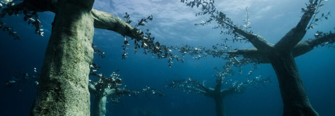 Several tree sculptures forming a kind of forest underwater.