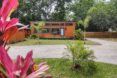 A streetview of the tiny home, partially obscured by plants.
