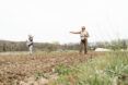 two people seeding a field
