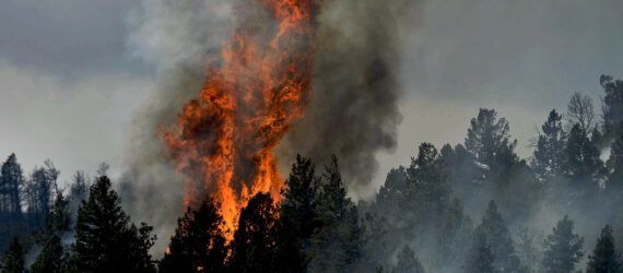 Fire rising out of a forest.