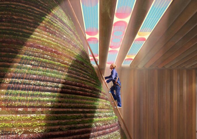 rendering person using ladder to climb vertical farm