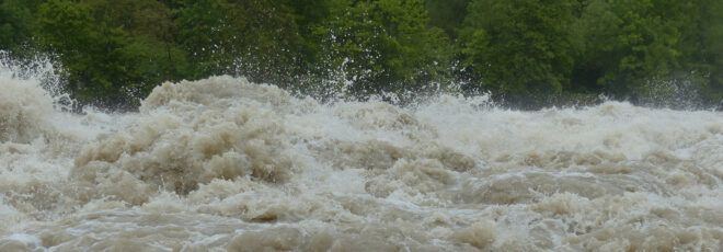 Floodwaters with trees in the background.