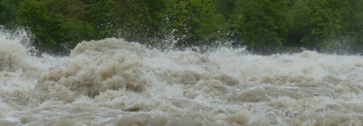 Floodwaters with trees in the background.